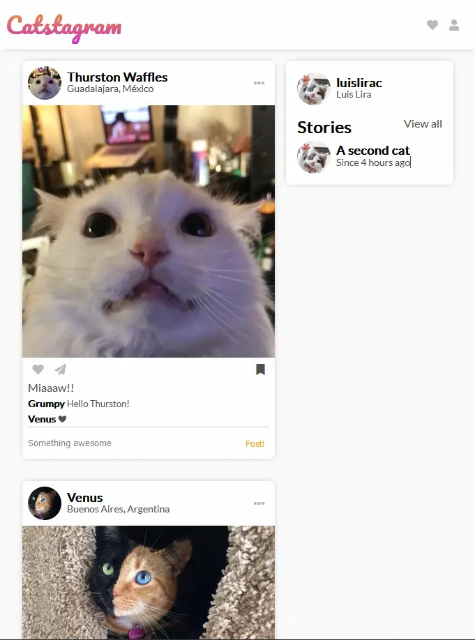 Preview of Catstagram